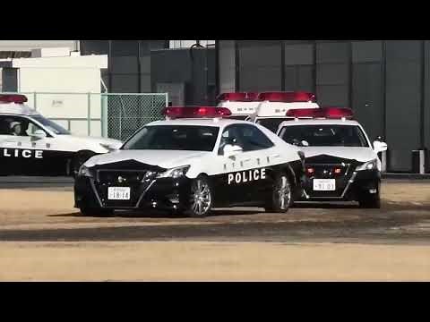 【ほんもの！】ピポピポ救急車・パトカー・消防車（サイレン音付き） ハイパーレスキュー大集合 ファイヤーエンジン・ポリスカー・アンビュランス【にこにこぷん】