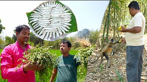 719K views · 16K reactions | এই গরমে সেরা স্বাদে বাঙালি ঘরোয়া দুধরণের রান্না | Summer special Bengali recipes | village cooking | Village Cooking Vlog | Facebook