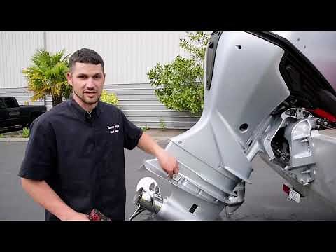 Zinc Anode Maintenance