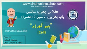 8.9K views · 1.1K reactions | Cell | Science Class 6| Chapter 1| Lecture 2 (part 1)| by Nana Abid وڌيڪ وڊيوز لاءِ اسانجي هن يوٽيوب چينل کي سبسڪرائب ڪريو www.youtube.com/sindhonlineschool | Sindh Online School | Facebook