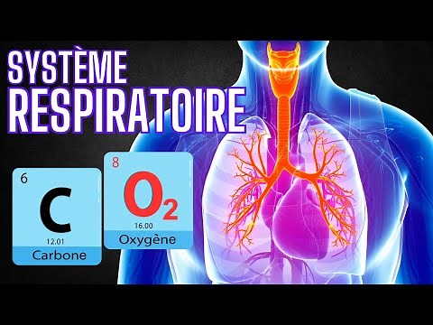 Système Respiratoire