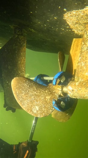 Little damaged propeller needs repair. Credit ID: hullboatdivers #MaritimeIndustry #Shipping #MarineTechnology #MaritimeInnovation #OceanTransportation #PortsAndTerminals #MarineEngineering #MaritimeLogistics #MaritimeTrade #NavalArchitecture #Seafarers #MaritimeSafety #Oceanography #MaritimeLaw #MarineEnvironment #MaritimeEducation #MaritimeHistory #Shipbuilding #MaritimeEconomics #MaritimeSecurity #CruiseShipDepartures #ThrusterControl #MaritimeMastery #JourneyOfDiscovery #PassionForTheSea | L