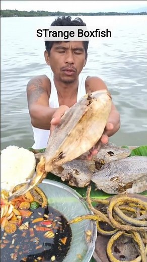 Eating This STRANGE River Boxfish 😱