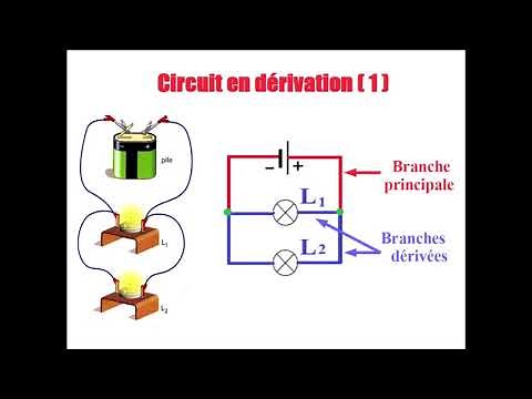 Circuit en dérivation 1 : Branche principale et branches dérivées.