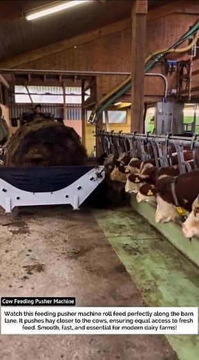Cow Feeding Pusher Machine – Ultra Efficient Feed Distributor!