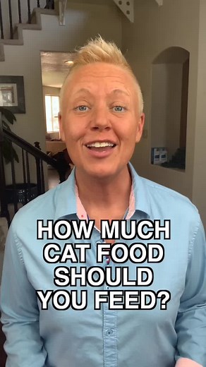 Cat Feeding Guide: How Much Food Should You Feed Your Cat?