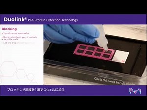 【早わかり】Duolink PLAの実験プロトコール