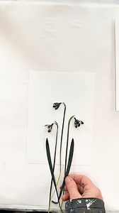 7.2K views · 140 reactions | The last of the Snowdrops… things seem...