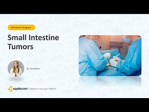 Small Intestine Tumors | Introduction