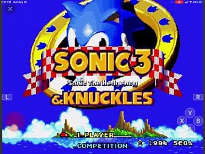 Website where you can play sonic games for free