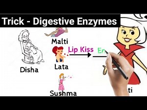 Short Tricks: Digestion and Absorption Video Lecture | Biology Class 11 - NEET