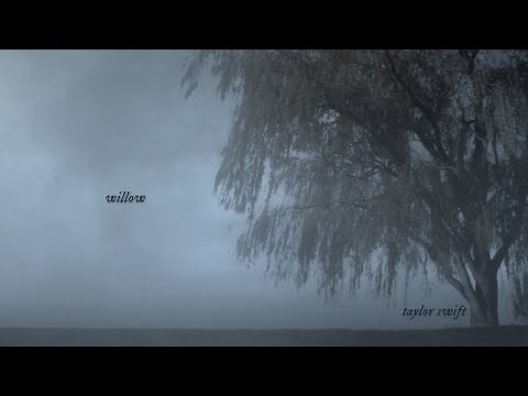 Taylor Swift - willow (Official Lyric Video)
