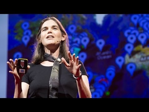 What we're learning from online education