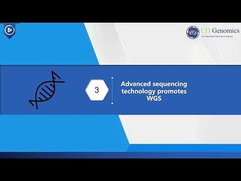 Methods and Workflow of Whole Genome Sequencing