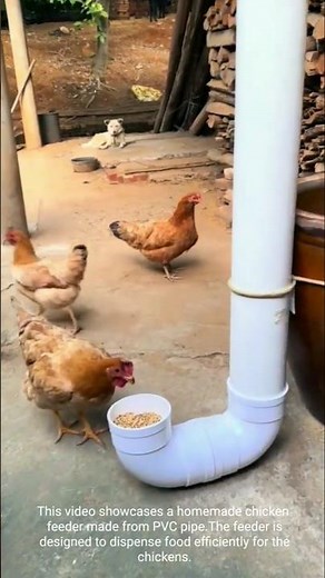 DIY Chicken Feeder Made Simple: PVC Pipe Innovation!