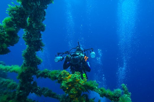 The Complete Guide to Underwater Camera and Photography Equipment - Manta Ray Advocates Hawaii