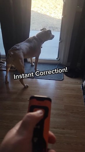 Gentle ultrasonic training = calm, confident, well-behaved dog 🧠🐕💫 🐾 Handheld Ultrasonic Dog Bark Control Device 🐾 Stops Loud Barking 🐾 Gentle Dog Training Get yours now before it's sold out! | Happy-Luna