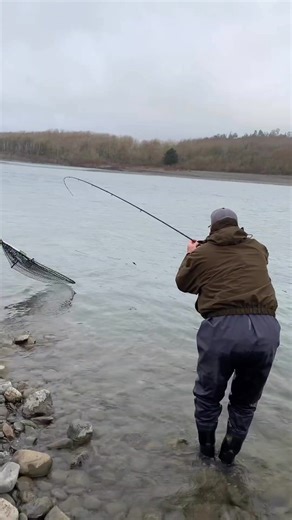 134K views · 454 reactions | That's how its done ✔️ P-line for the win  : John Klar's Salmon & Steelhead Sportfishing #plinefishing #fishing | P-Line | Facebook