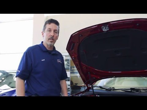 Checking your transmission levels - VW