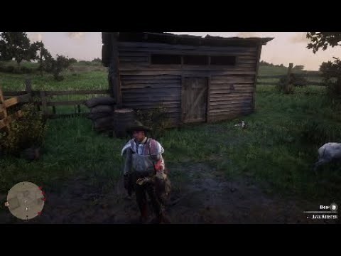 3 Guarenteed Rooster & Chicken Locations RDR2