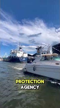 🌍 International Rules of Navigation | Let’s Learn - Part 2 🚢