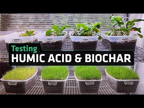 Humic Acid and Biochar Does It Work?