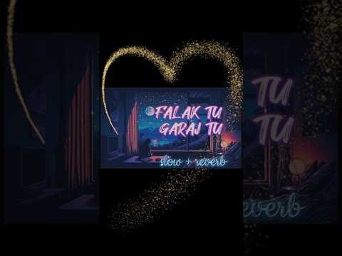 Falak tu garaj tu // #shorts #songs #falaktugarajtusong #nowmusic #youtubeshorts