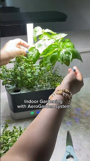 Indoor gardening| Aerogarden Hydroponic System|How to Setup #smartgarden
