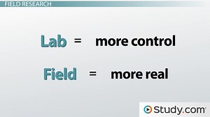 How Observational & Field Research Are Used to Collect Data