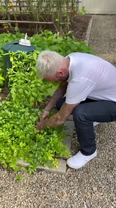 425K views · 2.8K reactions | Cooking with the Beckham's  © Instagram @BrooklynBeckham | British Vogue | Facebook