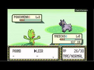Pokemon emerald on computer (part 1)