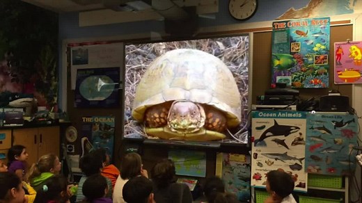 409K views · 4.2K reactions | Introducing a free weekly video series...