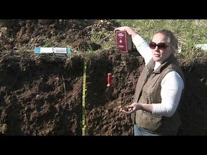 Soil Profiling: Structure