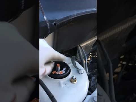 Jeep Patriot strut assembly