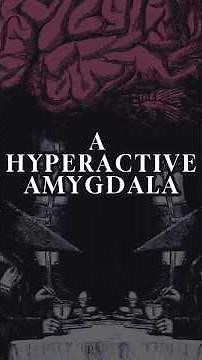 A HYPERACTIVE AMYGDALA #behavioralscience