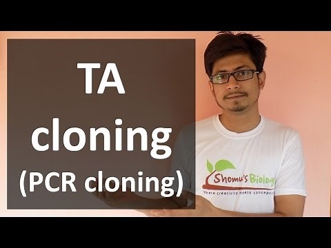 TA Cloning (PCR cloning)