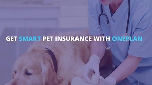 31 reactions · 3 comments | Get Trustworthy Pet Medical Cover For Vet Visits, Routine Care, Accidents & Emergencies with Oneplan Pet Insurance FSP 43627/43628 T&C's Apply | Oneplan Pet Insurance | Facebook