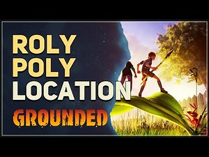 Roly Poly Location Grounded