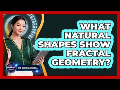 What Natural Shapes Show Fractal Geometry?