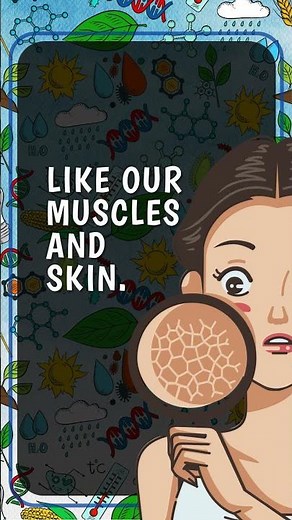 Proteins 3rd & 4th Grade Science Lesson