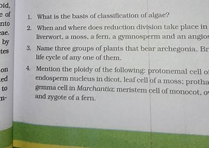 1. What is the basis of classification of algae?2. When and wh... | Filo