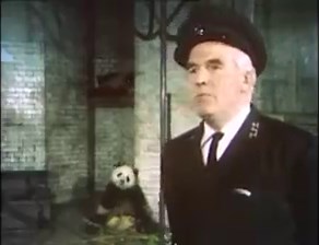12 reactions | #OnThisDay 1975: Newsround featured some surprisingly active pandas - not like pandas nowadays, who just lie around and eat bamboo. Kids these days... | BBC Archive | Facebook