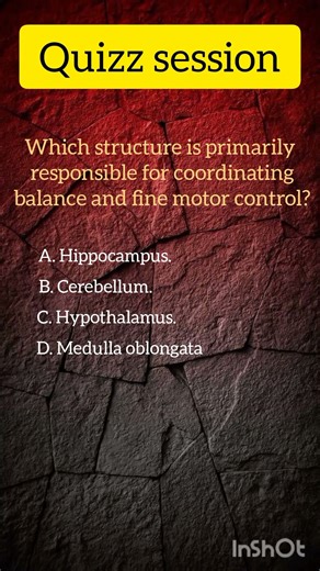 neuroanatomy mcq #mcq #quizz #test #medpreps #science #anatomyquizz #neuro #short