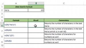 How to Use Excel LEN Function (Examples   Video)