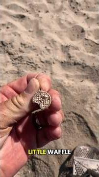 Eency weency itty bitty widdle 🧇 #metaldetecting #beachmetaldetecting #beach #treasure