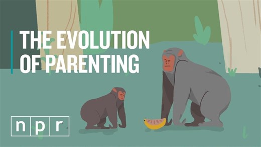 Animated History: The Evolution Of Parenting