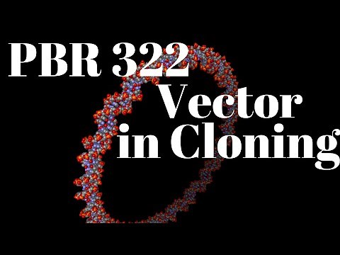PBR322 plasmid vector | Cloning vector