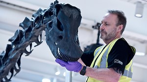 24 reactions · 4 comments | A timelapse of Dippy's installation at the Great North Museum: Hancock over five days in May 2019. The free exhibition Dippy on Tour: A Natural History Adventure runs from 18 May - 6 October 2019. Visit today! | Great North Museum: Hancock | Facebook