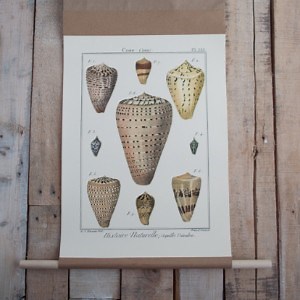 30 DIY Poster Frame Ideas - DIYnCrafty