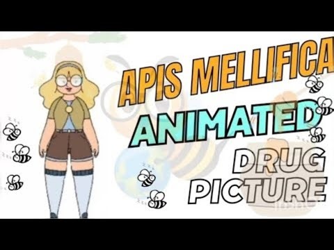 Apis Mellifica Drug Picture | Homeopathy | #apismellifica